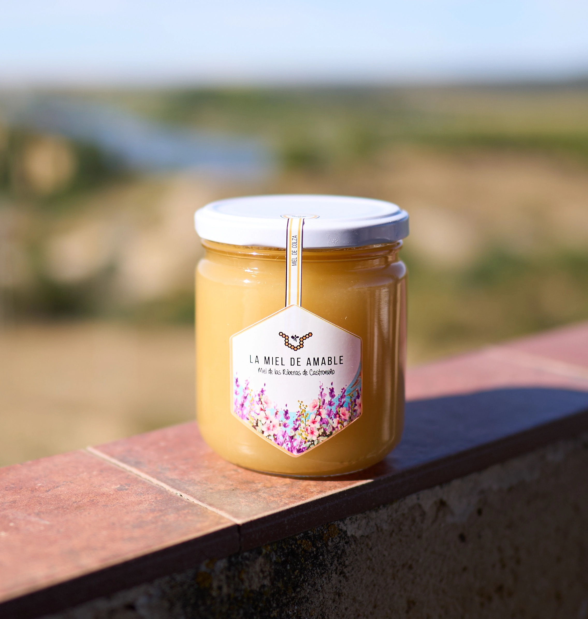 miel de colza artesanal La Miel de Amable